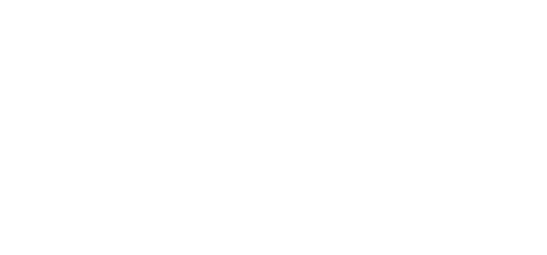 Darino Travel Logo